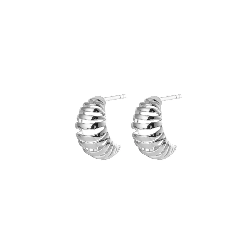 Gold hoop earringsRibbed Small Silver Earrings