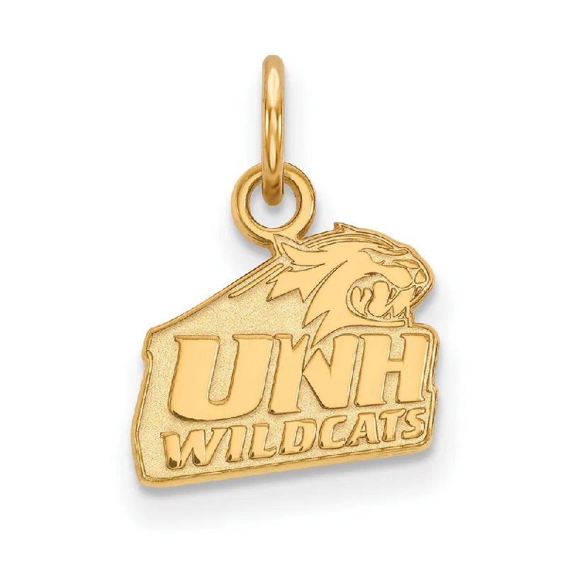 Amber pendants with their warm, golden glow​ 14k Gold Plated Silver U. of New Hampshire XS (Tiny) Logo Charm